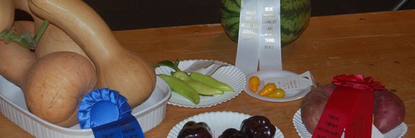 Award Winning Produce
